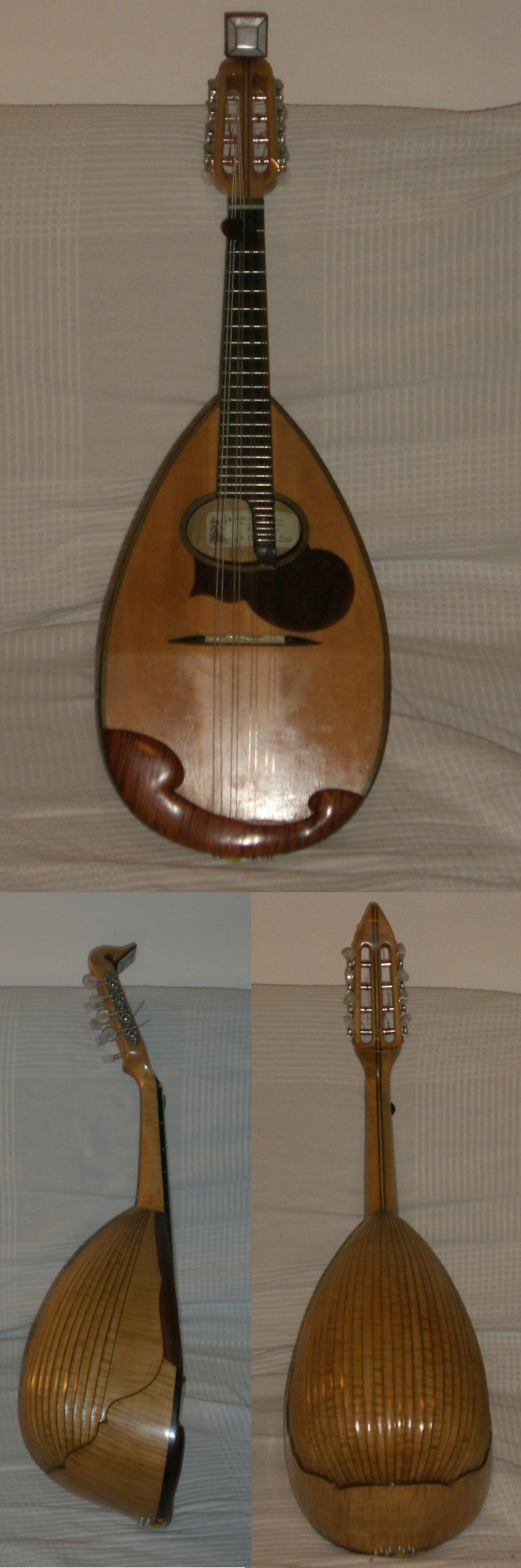 Mandolino napoletano Gabriele Pandini (Ferrara, 2007), tavola in abete, doghe in acero scannellato.